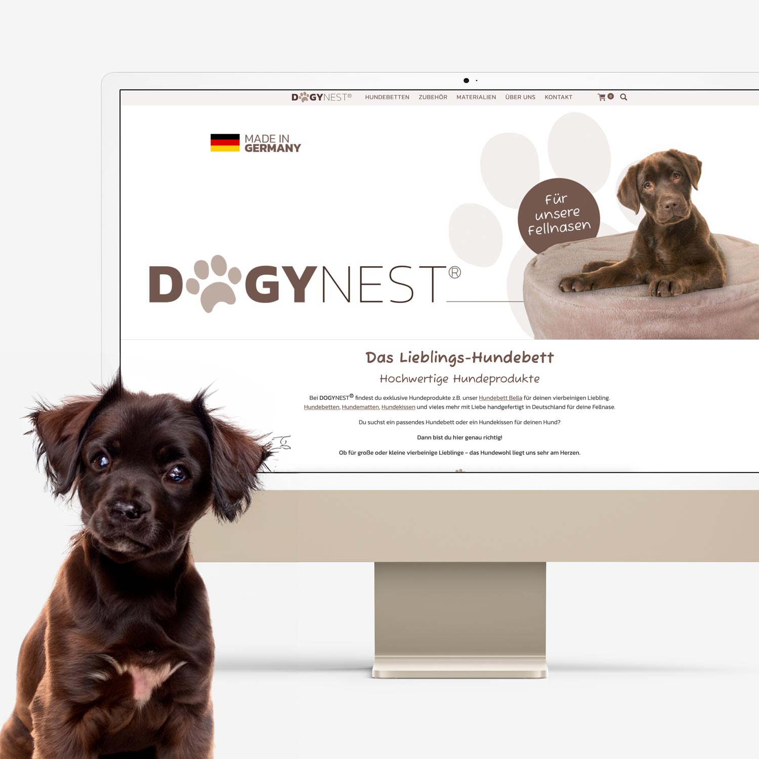 Onlineshop für DOGYNEST