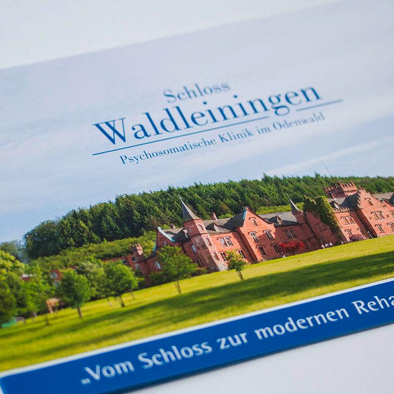 Chronik für das Schloss Waldleiningen