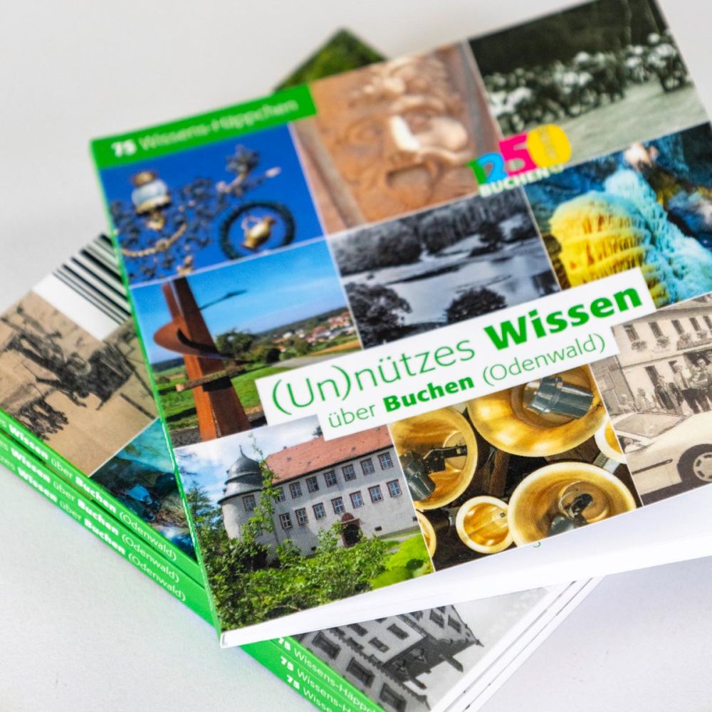 Unnützes Wissen über Buchen