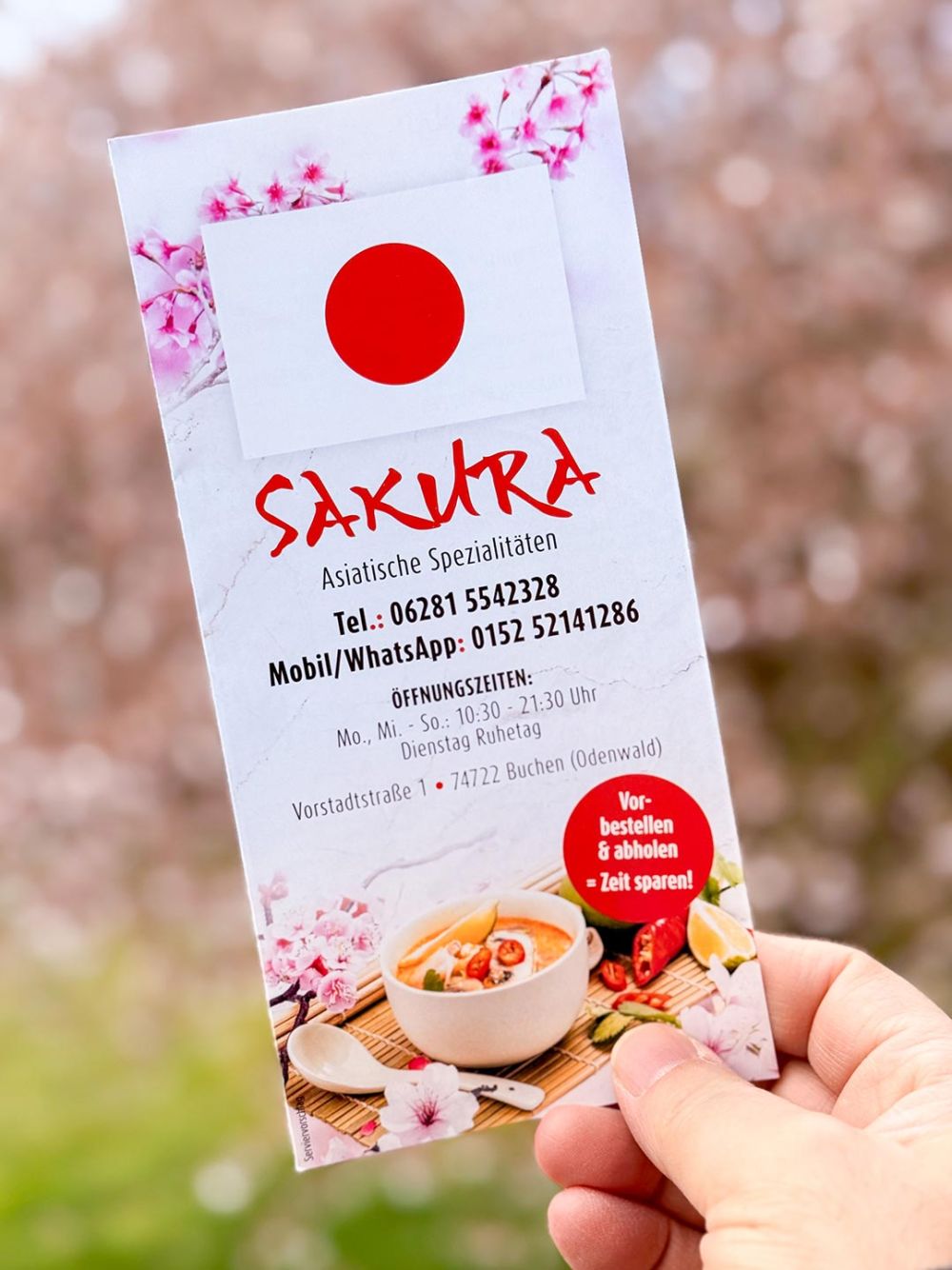 Flyer Asia Sakura Buchen