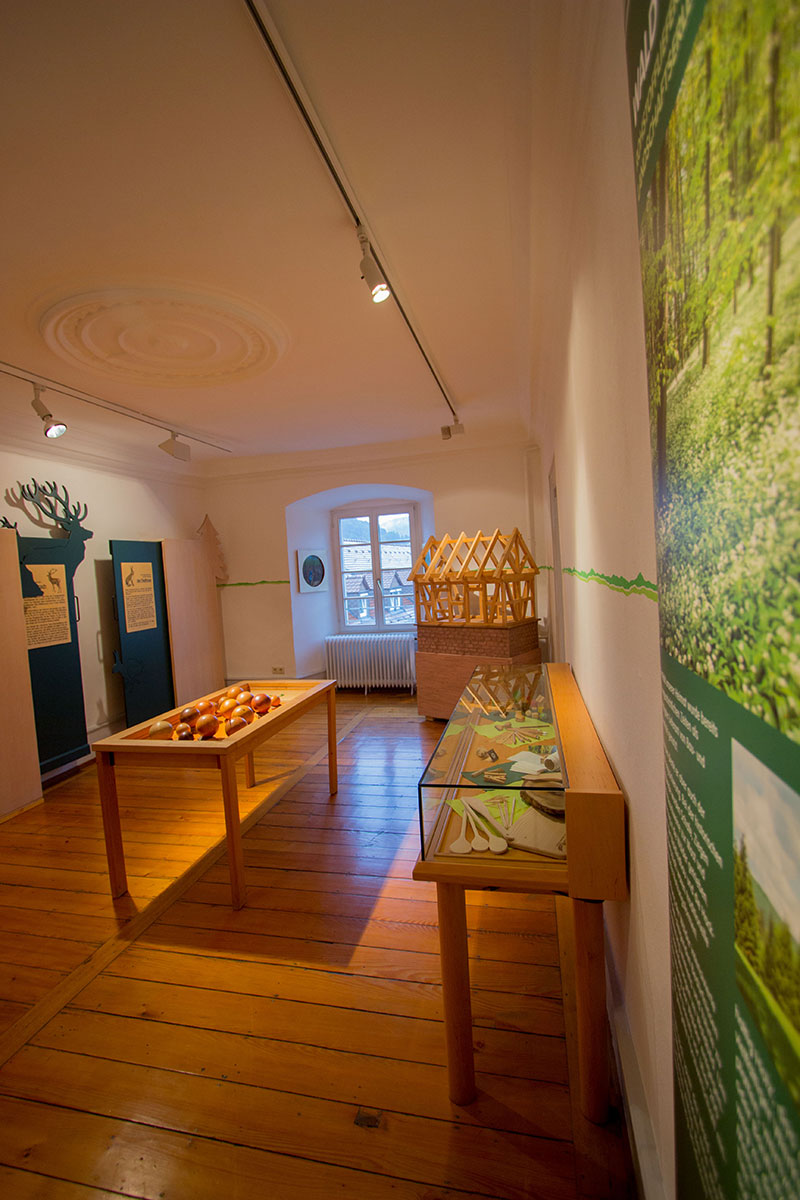 Naturparkzentrum Eberbach Ausstellungsraum