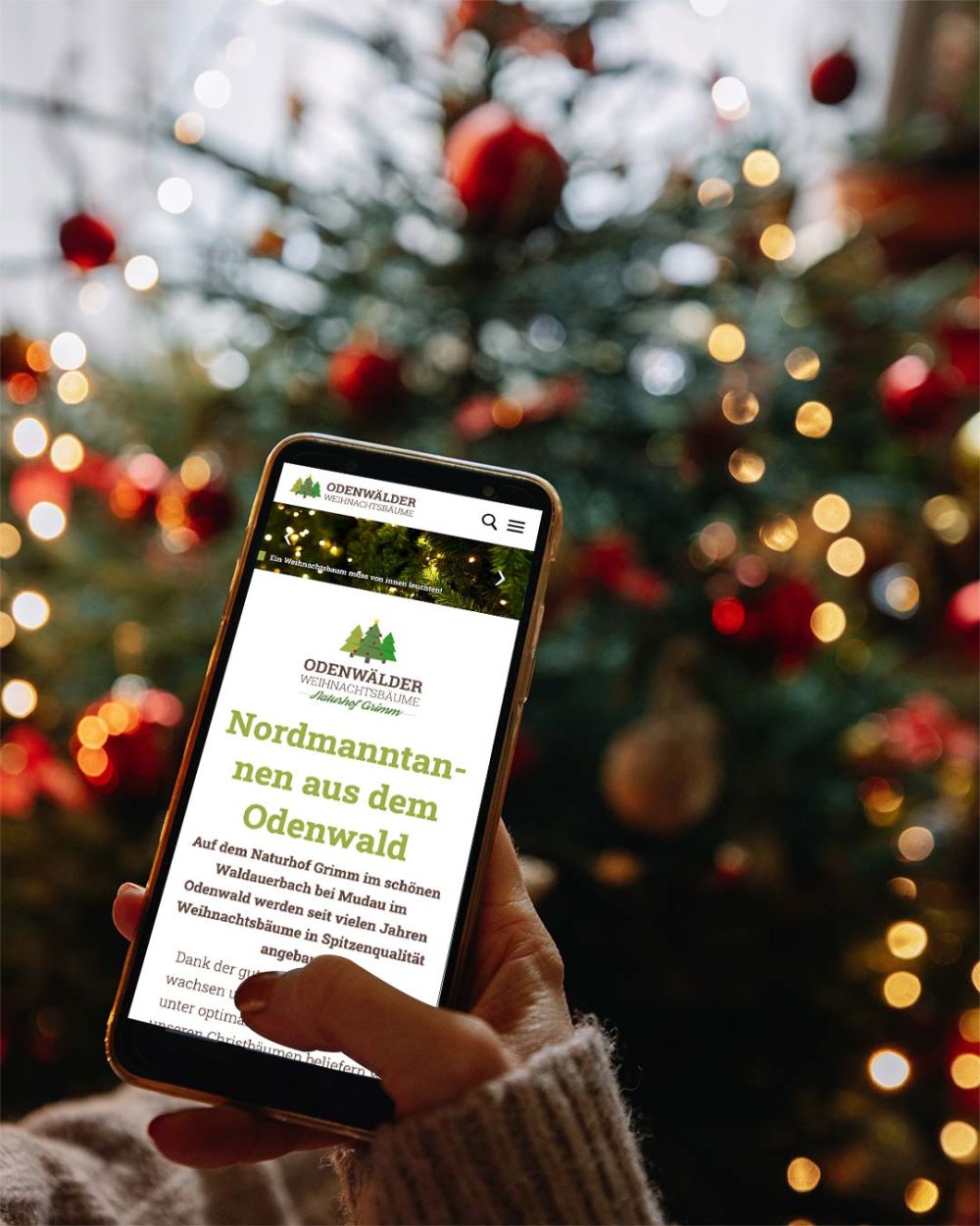 Webseite auf dem Handy